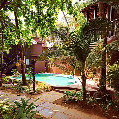 The vibe is peaceful and cosy